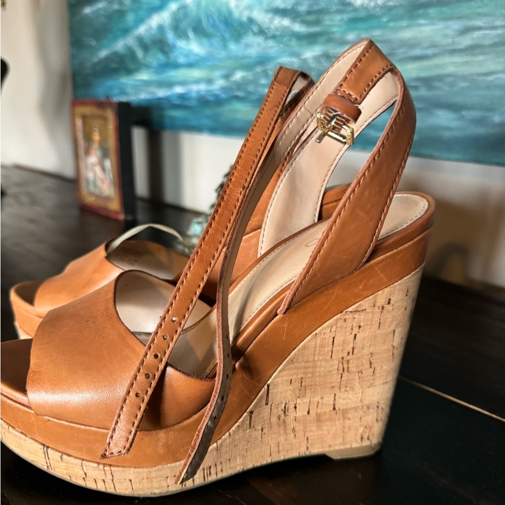 Aldo platform wedge sandals